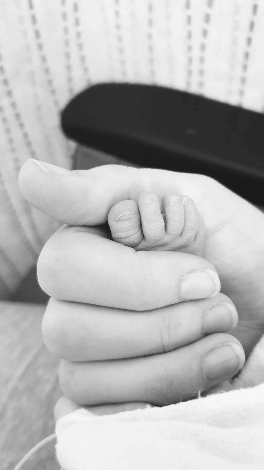 A baby's hand holding an adult's finger.